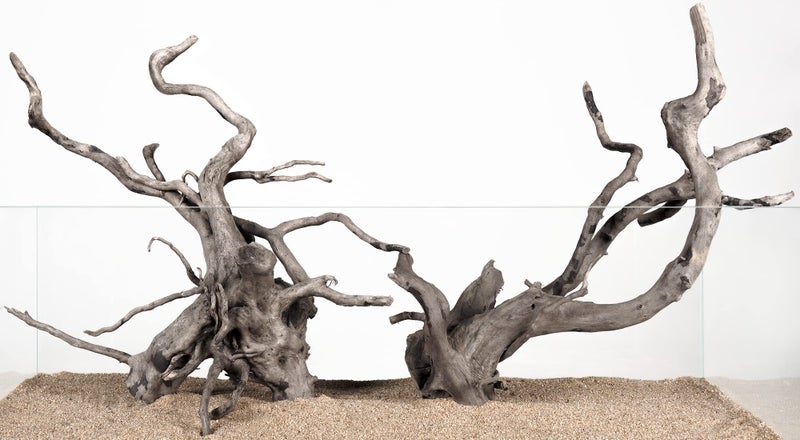 LANDEN Natural Spider Wood Aquarium Decorative Fish Tank Decorations, Driftwood Branches (12-16 Inch, XL) 4 Pcs - Image 1