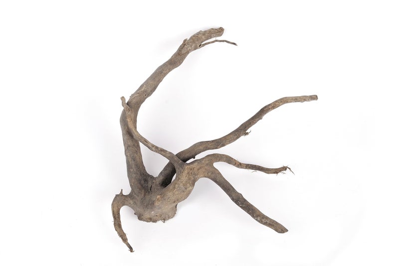 LANDEN Natural Spider Wood Aquarium Decorative Fish Tank Decorations, Driftwood Branches (12-16 Inch, XL) 4 Pcs - Image 3