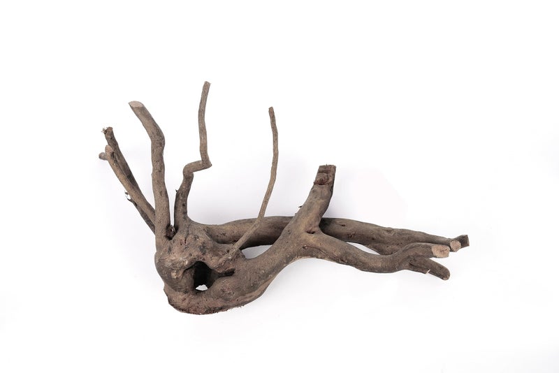 LANDEN Natural Spider Wood Aquarium Decorative Fish Tank Decorations, Driftwood Branches (12-16 Inch, XL) 4 Pcs - Image 4