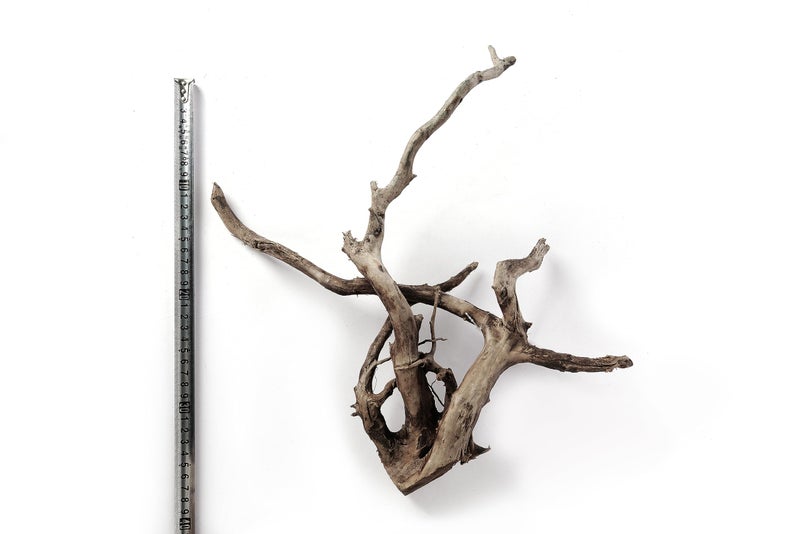 LANDEN Natural Spider Wood Aquarium Decorative Fish Tank Decorations, Driftwood Branches (12-16 Inch, XL) 4 Pcs - Image 5