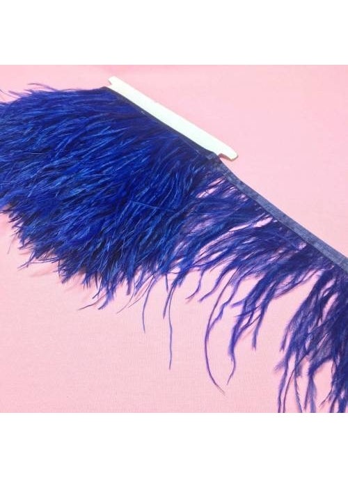 Embroidered Ostrich Feather Sax Blue 12 cm 1 Meter - pzsku/Z8A008125251CE2579CEFZ/45/_/1741272214/f5ef6673-eb32-4df9-92ba-a061e7cfbd88