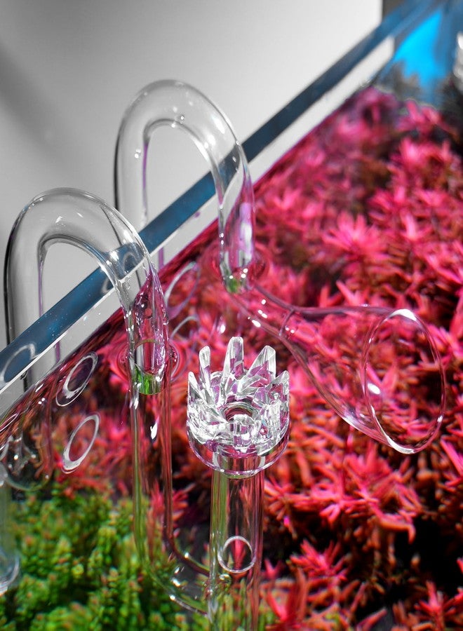 FZONE Aquatic Glass Lily Pipe Set with Lily Skimmer Inflow and Lily Outflow for Aquarium Filter 1/2''(12/16mm) Tubing - Image 2
