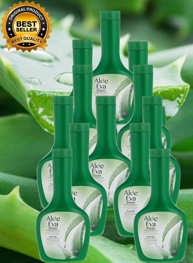 ألو إيفا 12 قطع شامبو ألو ايفا 320مل - Image 1