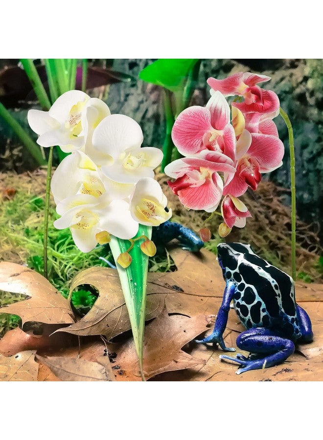 Chuangdi Chuangdi 2 Pieces Artificial Phalaenopsis with Suction Cups Terrarium Plant Decoration Reptile Habitat Plant Decor for Hermit Crab Lizards Geckos Snake Reptile (Dark Pink, White Yellow)  - Image 5