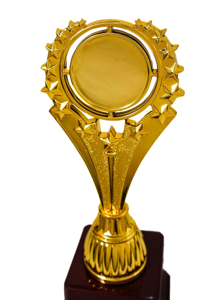 ArtRight Glamour Trophy with Fiber Finish - 27cm, Multipurpose Elegant Trophy for Event, Function & Ceremonies (Size: 27cm x 7cm x 7cm) - Image 4