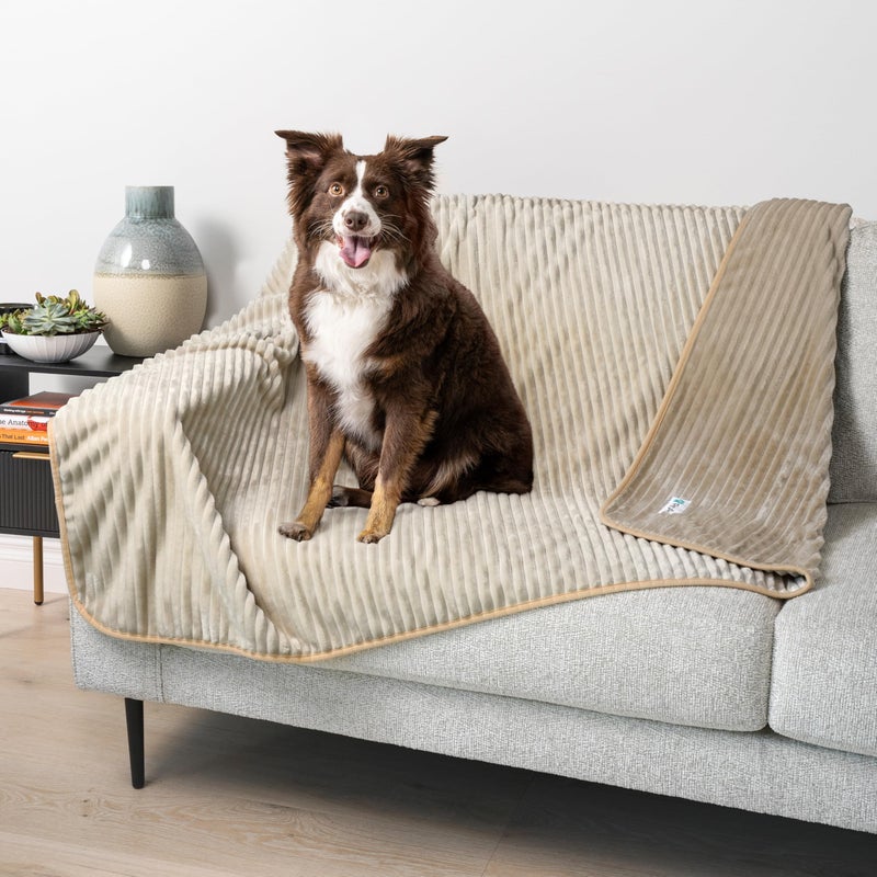 PetAmi Waterproof Dog Blanket, Leakproof Pet Blanket for Small Medium Large Dogs, Reversible Furniture Bed Sofa Couch Cover Protector, Plush Striped Pet Throw for Indoor Cat, 24x32 in, Taupe Beige - Image 5