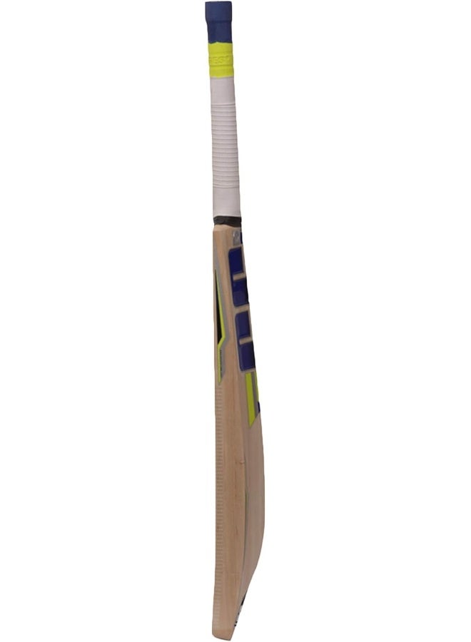SS Kashmir Willow Cricket Bat Short Handle - Image 3