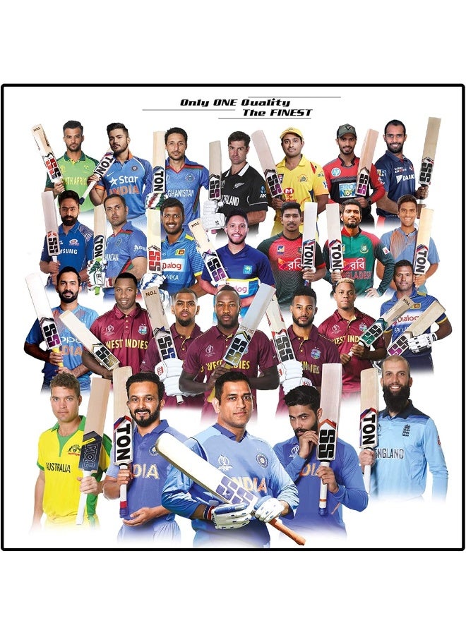 SS Kashmir Willow Cricket Bat Short Handle - Image 4