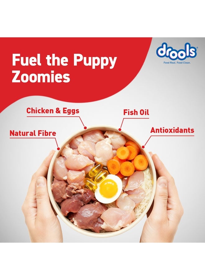 Drools Puppy Dry Dog Food  Chicken & Egg - Image 4