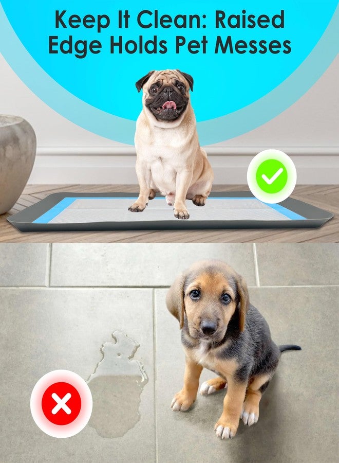 Skywin TidyFriend Puppy Pad Holder Tray Fits for 11.5” x 17” Wee Wee Pee Pads - Stable Grip, Raised Edges, Quick-Wipe Silicone Surface Dog Potty Tray Holder for Indoor Flooring Protection (Grey) - Image 4