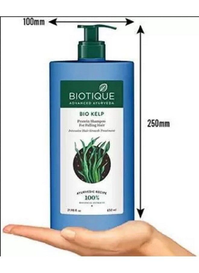 Biotique - Bio Kelp Shampoo For Falling Hair Combo Pack Of 2 Each 650Ml (1.3 L) - Image 1