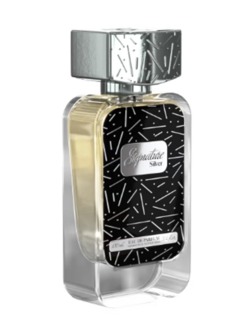 Signature silver 100ml