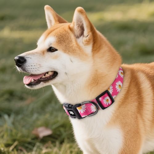 QQPETS Adjustable Soft Dog Collar: Print Flower Pink Multicolor Cute Patterns for XS Small Medium Large Pet Girl Boy Puppy Walking Running Training (L, Small Daisies) - Image 2