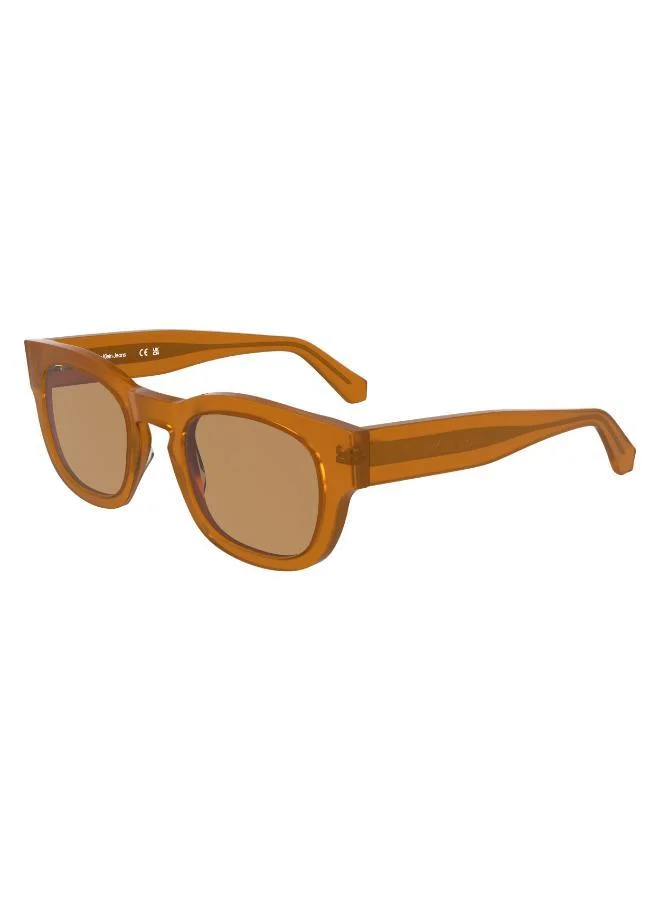 Calvin Klein Jeans P-3 Wayfarers Sunglasses