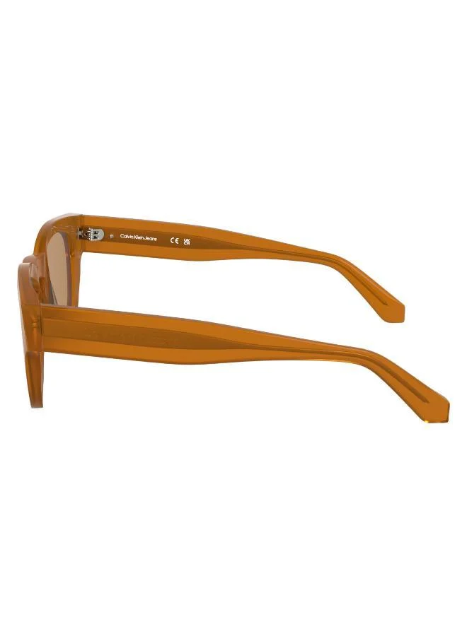 Calvin Klein Jeans P-3 Wayfarers Sunglasses