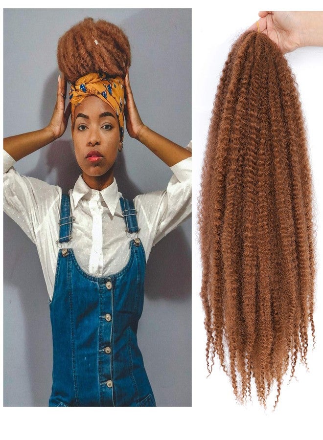 Dansama Marley Twist Braiding Hair 24 Inch 6 Packs Marley Braiding Hair Crochet Hair Extensions (24 Inch (Pack of 6), #30) - Image 1