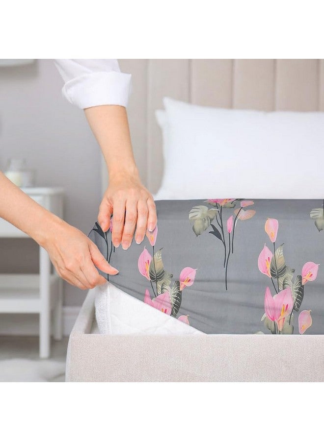 BSB HOME BSB HOME Premium Cotton 220tc Elastic Fitted Bedsheets with 2 Pillow Covers | King Size Bed with All Around Elastic 220 TC Supersoft Printed Pattren Breathable |Size-78 x72+10 inches | Grey & Pink  - Image 3