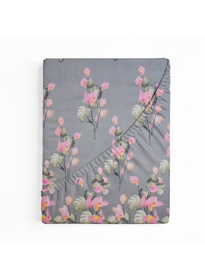 BSB HOME BSB HOME Premium Cotton 220tc Elastic Fitted Bedsheets with 2 Pillow Covers | King Size Bed with All Around Elastic 220 TC Supersoft Printed Pattren Breathable |Size-78 x72+10 inches | Grey & Pink  - Image 1