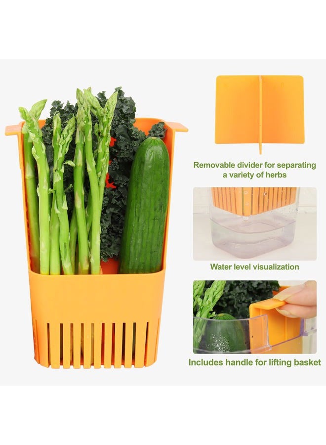 LUVCOSY Herb Keeper Set: 3 Pack Herb Saver+1 Pack Herb Scissors+2 Pack Herb Stripper, BPA-Free Plastic Herb Container for Cilantro, Mint & Asparagus, Keeps Fresh Herbs for 3 Times Longer - Image 5
