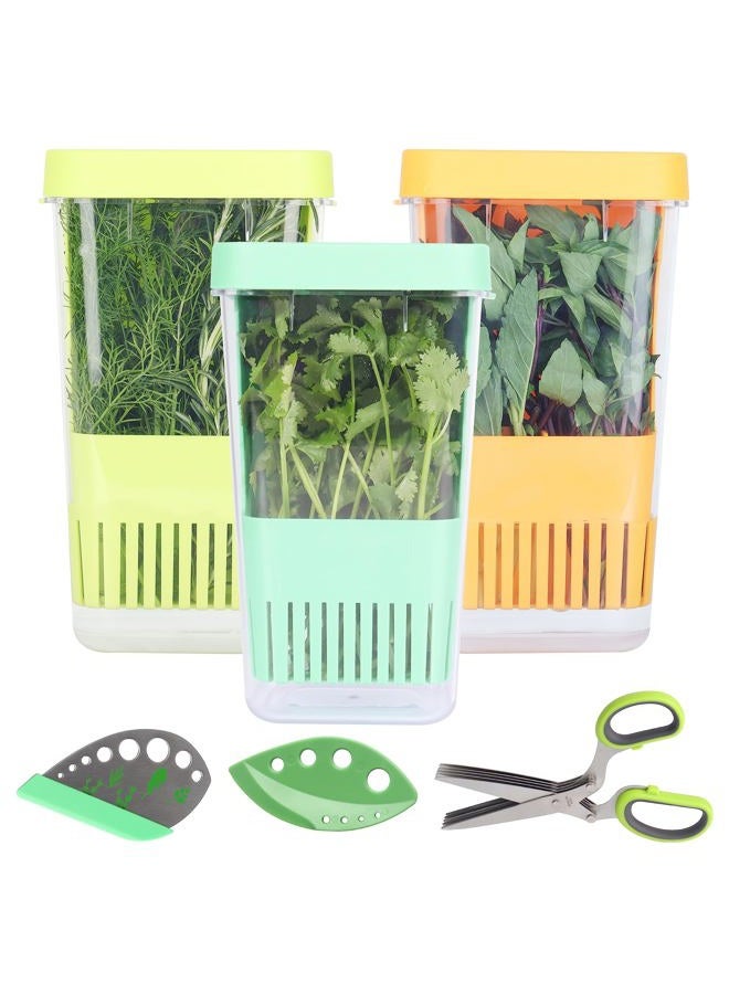 LUVCOSY Herb Keeper Set: 3 Pack Herb Saver+1 Pack Herb Scissors+2 Pack Herb Stripper, BPA-Free Plastic Herb Container for Cilantro, Mint & Asparagus, Keeps Fresh Herbs for 3 Times Longer - Image 1