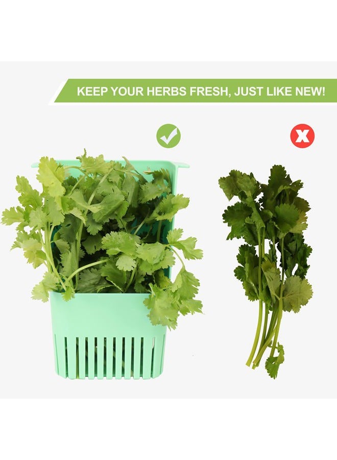 LUVCOSY Herb Keeper Set: 3 Pack Herb Saver+1 Pack Herb Scissors+2 Pack Herb Stripper, BPA-Free Plastic Herb Container for Cilantro, Mint & Asparagus, Keeps Fresh Herbs for 3 Times Longer - Image 4