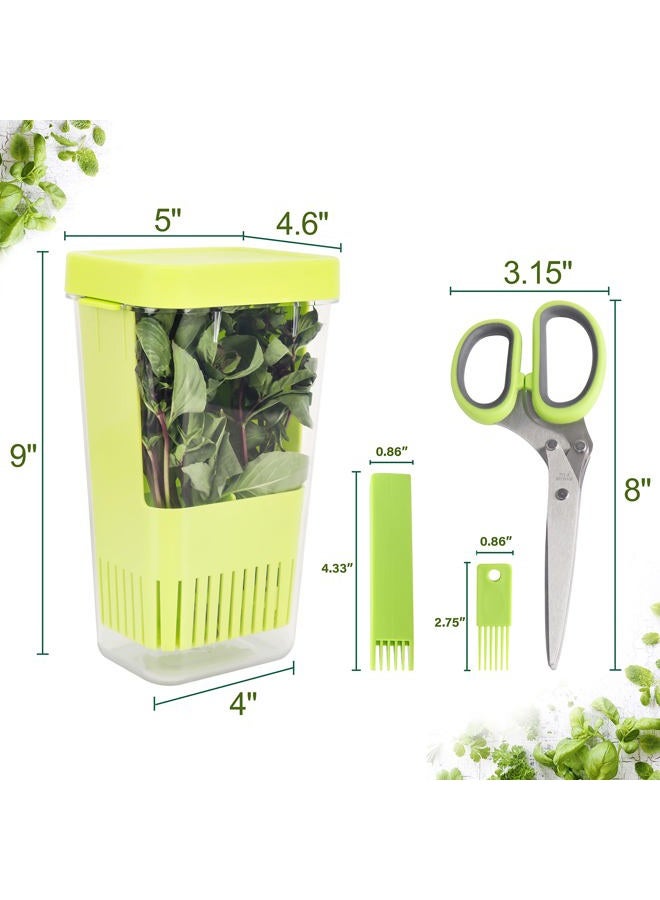 LUVCOSY Herb Keeper Set: 3 Pack Herb Saver+1 Pack Herb Scissors+2 Pack Herb Stripper, BPA-Free Plastic Herb Container for Cilantro, Mint & Asparagus, Keeps Fresh Herbs for 3 Times Longer - Image 2
