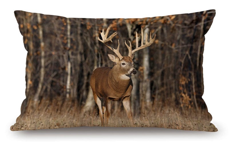 Solekla Throw Pillow Cover Vintage Carpet Pattern Antique Grunge Tribal Decorative Pillow Case Home Decor 20x12 Inches Pillowcase