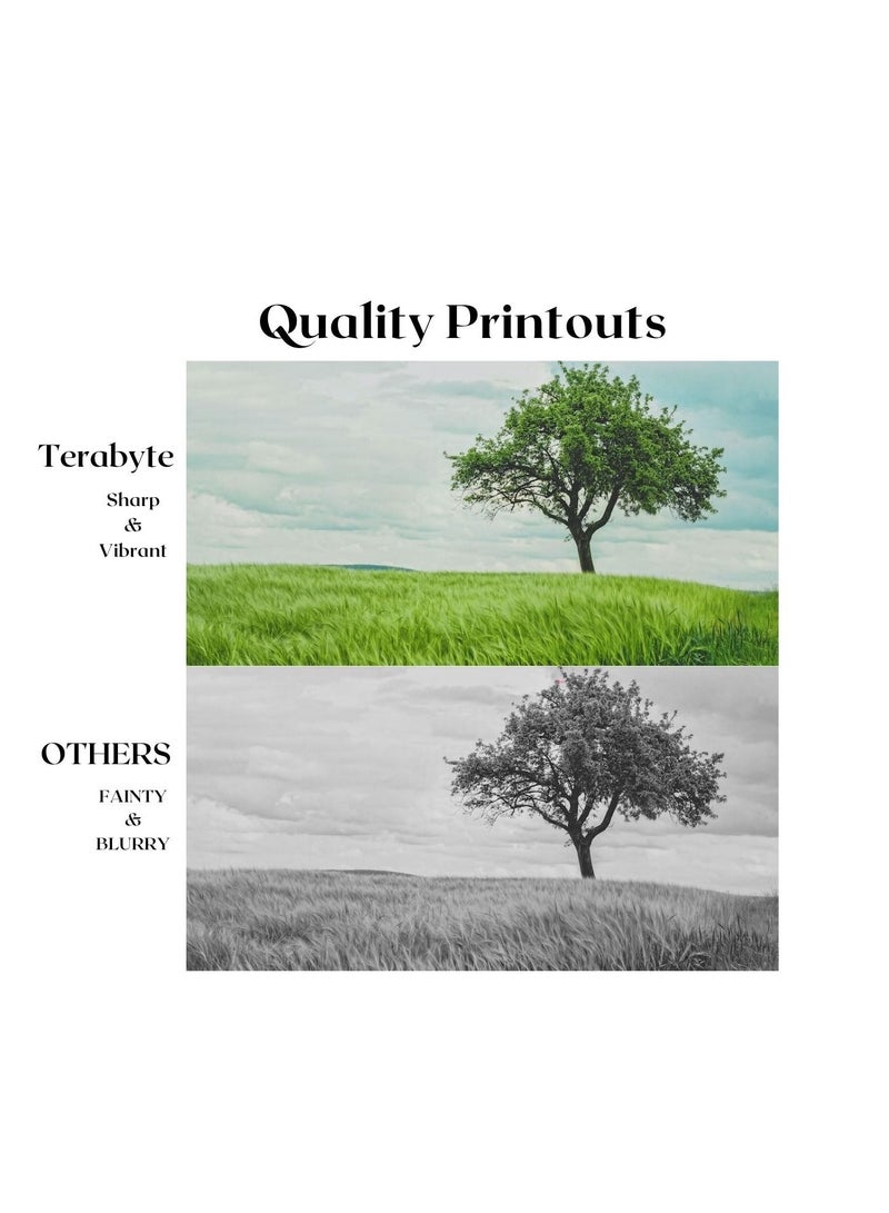 Terabyte TK895 KYOCERA COMPATIBLE TONER TERABYTE - Image 2