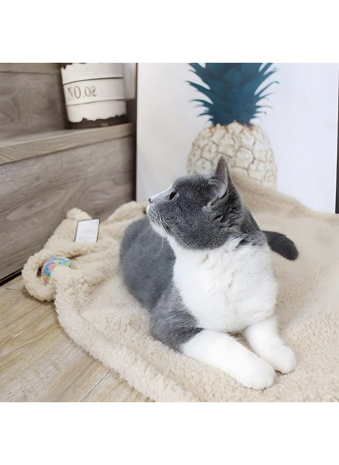 furrybaby furrybaby 2-in-1 Puppy Blankets for Small Dogs - Premium Super Soft Sherpa & Fleece Dog & Cat Bed Blankets - Washable & Portable - Beige (24"x32")  - Image 3