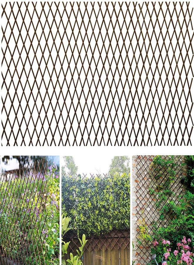 GLANT Lattice Fence Willow Expandable Plant Climbing Lattices Trellis Fence,Open Screen Fencing,Willow (1) - Image 1