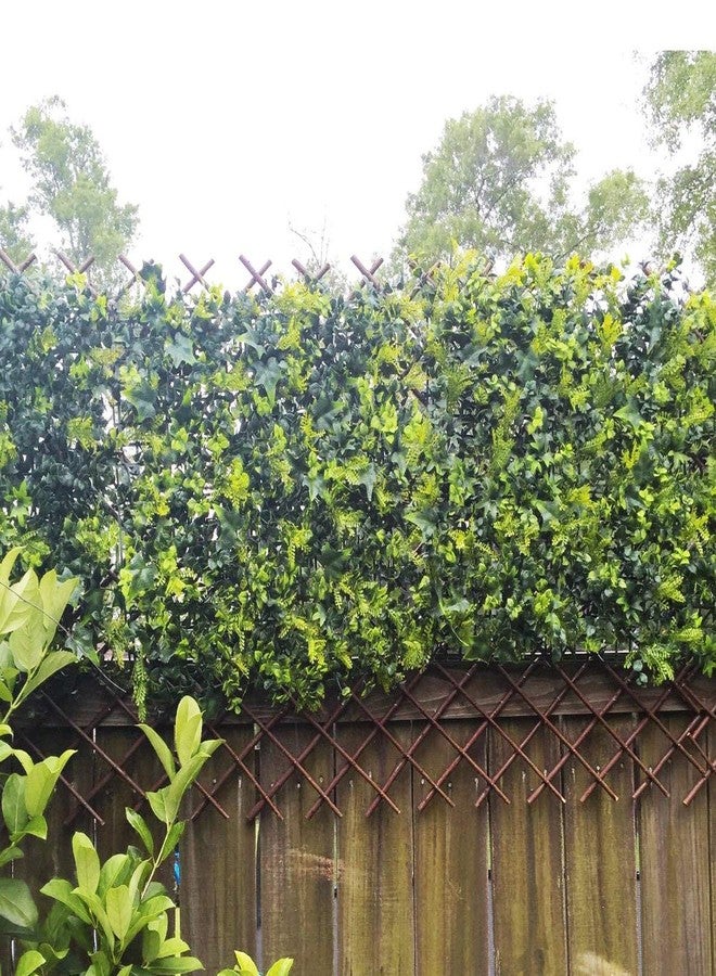 GLANT Lattice Fence Willow Expandable Plant Climbing Lattices Trellis Fence,Open Screen Fencing,Willow (1) - Image 2