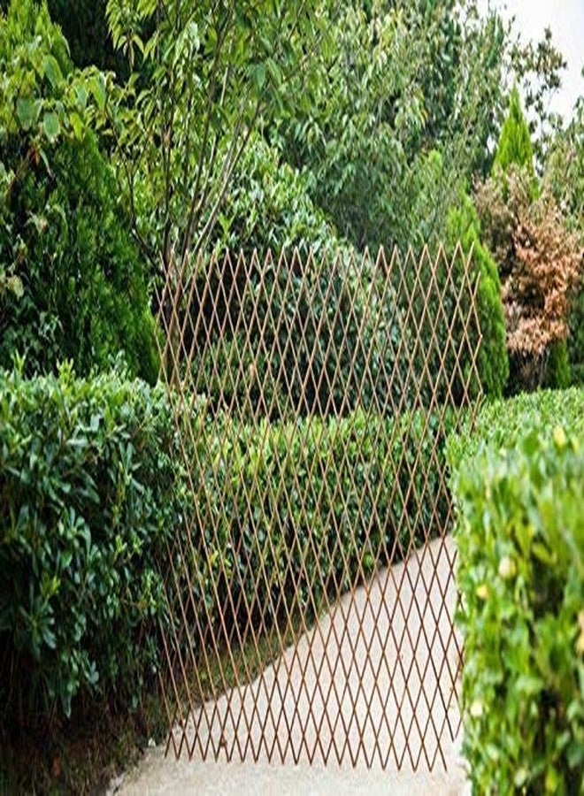 GLANT Lattice Fence Willow Expandable Plant Climbing Lattices Trellis Fence,Open Screen Fencing,Willow (1) - Image 5