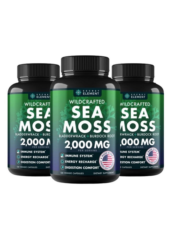 SECRET ELEMENT Sea Moss Capsules - Irish Sea Moss Advanced with Burdock Root, Bladderwrack & Muira Puama for Immunity, Gut, & Energy - Superfood Sea Moss Supplements w/Raw Sea Moss Powder, 120 Capsules, (3 Pack) - Image 1