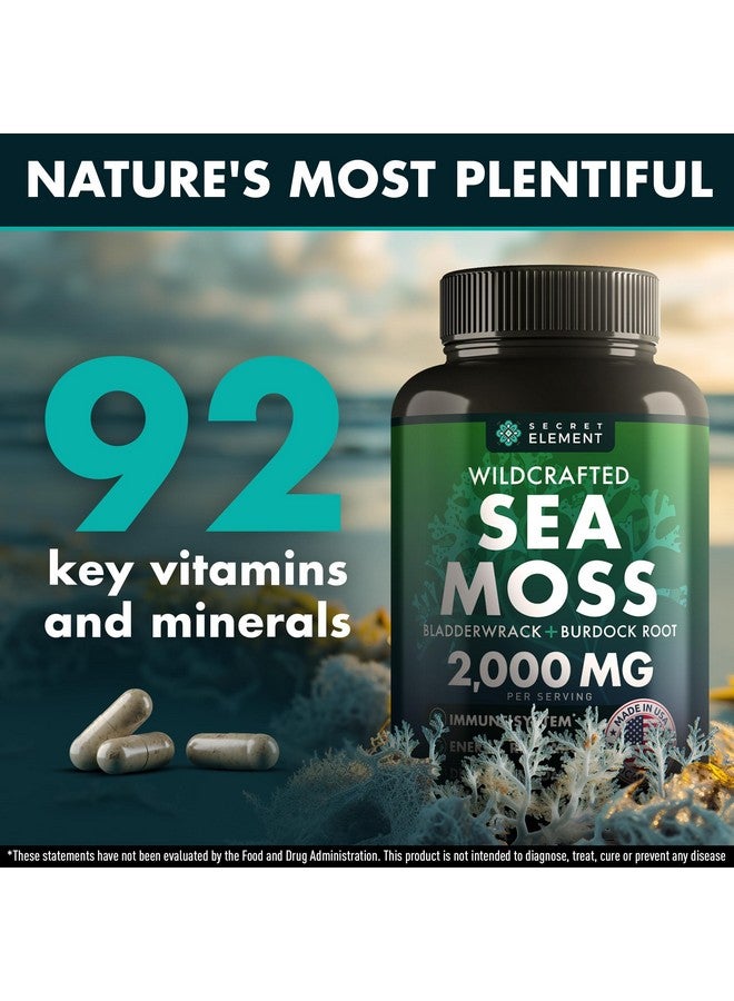SECRET ELEMENT Sea Moss Capsules - Irish Sea Moss Advanced with Burdock Root, Bladderwrack & Muira Puama for Immunity, Gut, & Energy - Superfood Sea Moss Supplements w/Raw Sea Moss Powder, 120 Capsules, (3 Pack) - Image 2