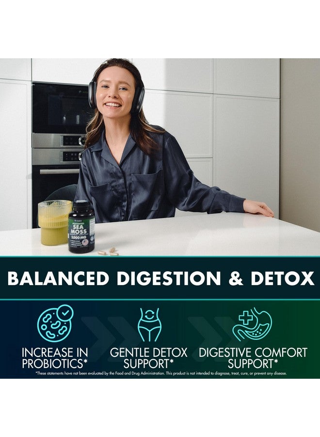 SECRET ELEMENT Sea Moss Capsules - Irish Sea Moss Advanced with Burdock Root, Bladderwrack & Muira Puama for Immunity, Gut, & Energy - Superfood Sea Moss Supplements w/Raw Sea Moss Powder, 120 Capsules, (3 Pack) - Image 4