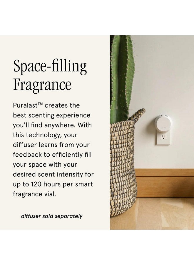 Pura Pura Smart Home Air Diffuser Fragrance - Smart Home Scent Refill - Up to 120-Hours of Premium Fragrance per Refill - Clean Diffuser for Office & Apartment - 2 Pack, Apple Orchards  - Image 2