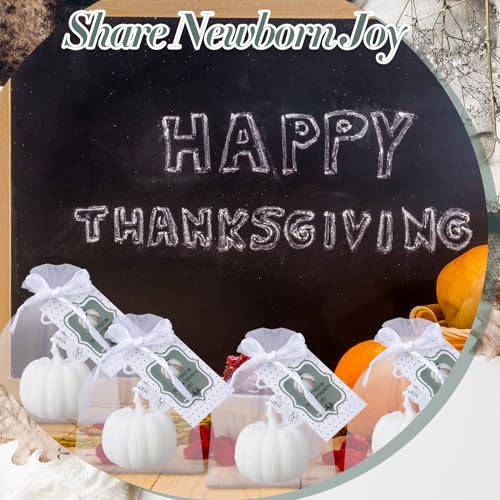 Treela 24 Set Pumpkin Candles Fall Baby Shower Party Favors for Guests Little Pumpkin Thank You Return Gifts Bulk for Thanksgiving Autumn Baby Shower Wedding Favors (White) - Image 3