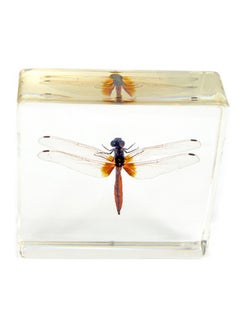 REALBUG Dragonfly Paperweight(3X3X1)  - Image 1