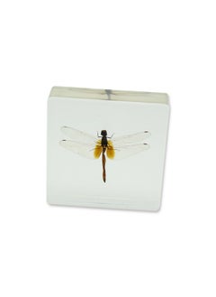 REALBUG Dragonfly Paperweight(3X3X1)  - Image 3