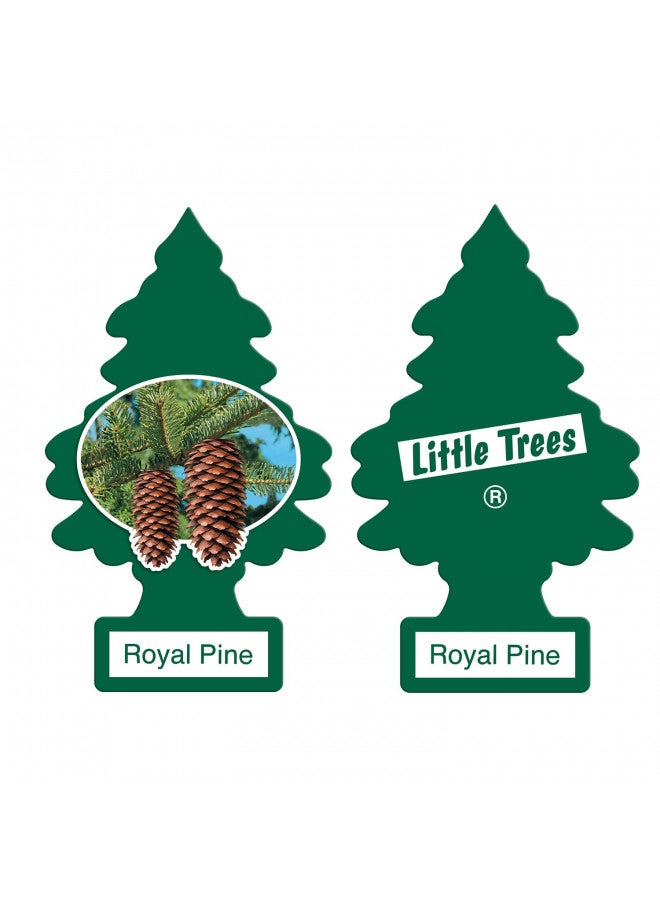 Little Trees LITTLE TREES Car Air Freshener | Hanging Paper Tree for Home or Car | Royal Pine | 12 Pack - Image 1