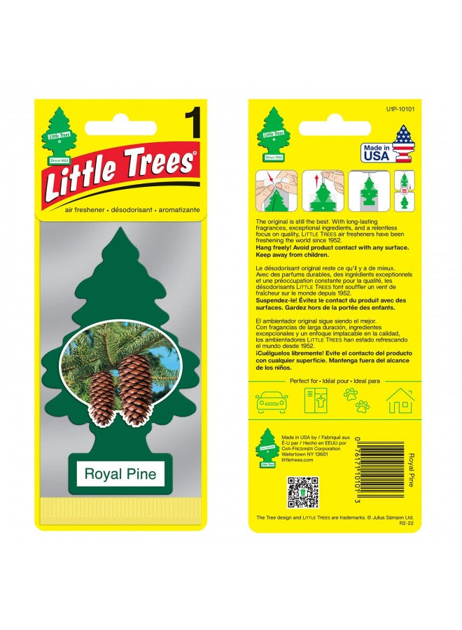 Little Trees LITTLE TREES Car Air Freshener | Hanging Paper Tree for Home or Car | Royal Pine | 12 Pack - Image 2