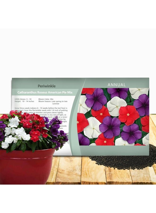 Outsidepride American Pie Mix Periwinkle Seeds for Planting – 50 Pcs Annual, Fast-Blooming, Heat & Drought Tolerant Vinca Flower Seeds with Vibrant Colors Ideal for Gardens, Beds & Containers - Image 1