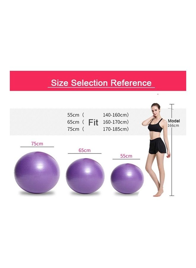 FED Environmental Pregnant Thickening Explosion-Proof Big Yoga Fitness Ball 75cm - Image 4