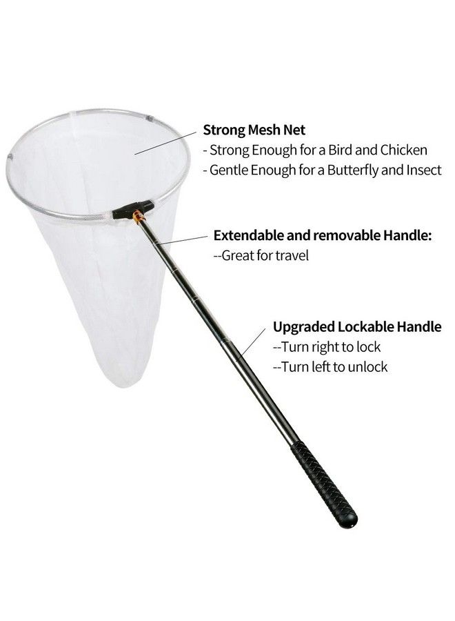 RESTCLOUD Insect And Butterfly Net With 12" Ring 24" Net Depth Handle Extends To 59 Inches For Adults And Kids (12" Ring 59" Handle)  - Image 3