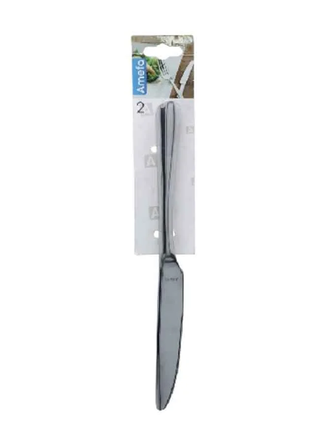 Amefa 2-Piece Austin Stainless Steel Table Knives On Hanging Card Silver 1.6 X 27.8 X 4.6 Cm 1410X1Vdxcaa2