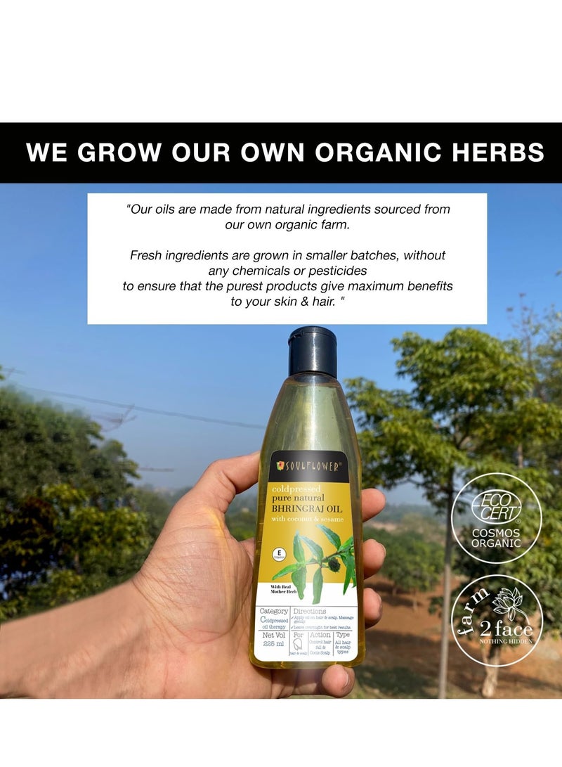 Soulflower Cold-Pressed Bhringraj Oil-Pure & Natural| Hair Growth, Strengthening & Nourishing hair roots, Anti-Dandruff, Cooling Scalp| Coconut, Sesame, Mother herb| 225ml - Image 2
