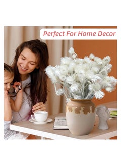 KASTWAVE Large Heads Dried White Daisy Flowers -Real Dried Silver Daisy Chamomile Flower Bundle for Vase Home Wedding Boho Office Decor, Dried Daisies, Home Furnishing, DIY Arrangement, 1 Bunch/40-50 Heads  - Image 2