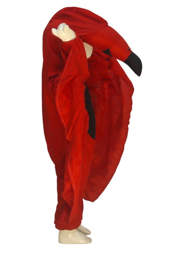 TWINKLE TOTS - "Bird-Themed Fancy Dress Costume for Kids - Ideal for School & Parties - Image 2