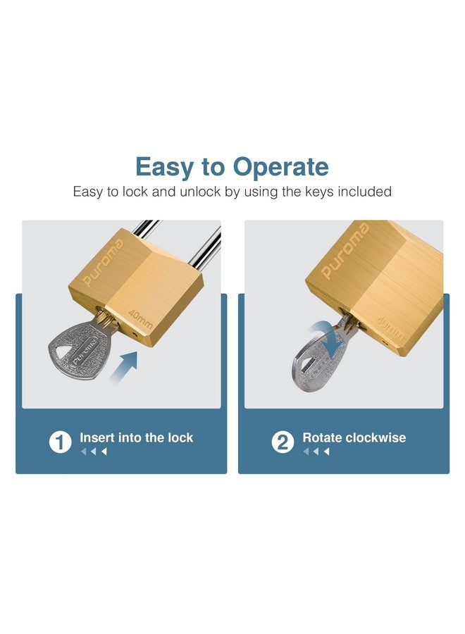 Puroma 1 Pack Keyed Padlock Waterproof Solid Brass Lock, 2.6 Inch Padlock with Keys for Sheds, Storage Unit School Gym Locker, Fence, Toolbox, Hasp Storage - Image 2