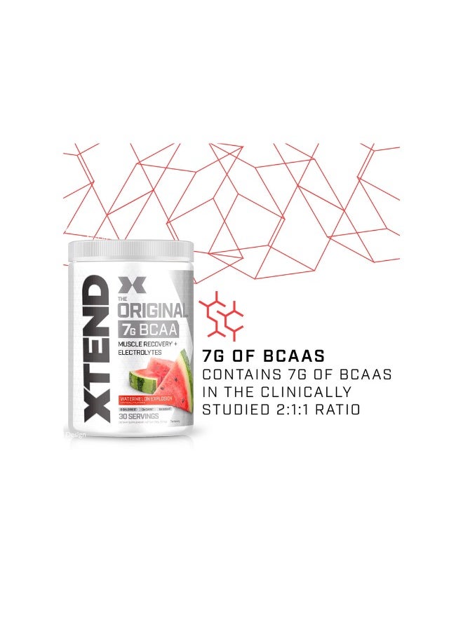 SCIVATION Xtend The Original 7G BCAA Muscle Recovery + Electrolytes, Watermelon Explosion Flavor - 30 Servings  - Image 2
